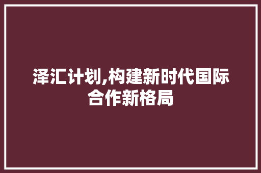 泽汇计划,构建新时代国际合作新格局 写作社区