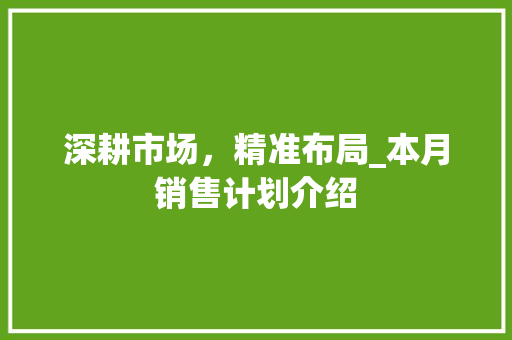 深耕市场，精准布局_本月销售计划介绍