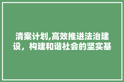 清案计划,高效推进法治建设，构建和谐社会的坚实基石 诗歌创作
