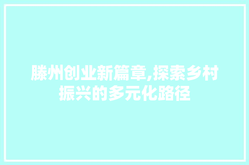 滕州创业新篇章,探索乡村振兴的多元化路径