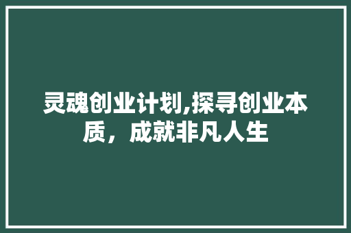 灵魂创业计划,探寻创业本质，成就非凡人生