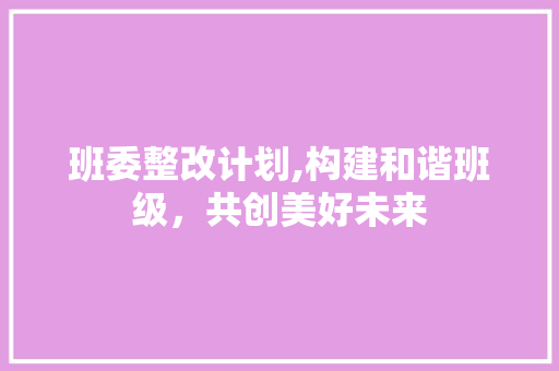 班委整改计划,构建和谐班级，共创美好未来