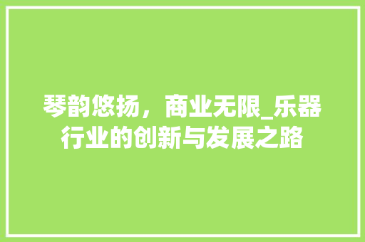琴韵悠扬，商业无限_乐器行业的创新与发展之路