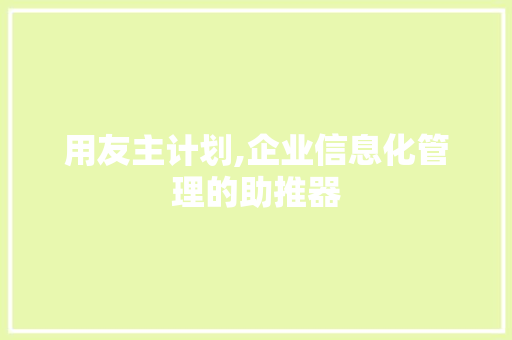 用友主计划,企业信息化管理的助推器 词汇积累