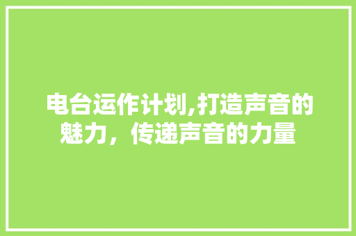 电台运作计划,打造声音的魅力，传递声音的力量