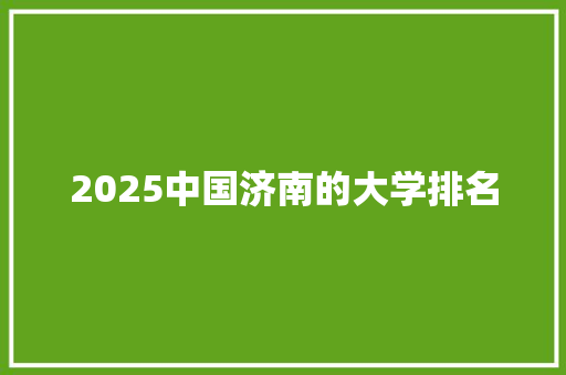 2025中国济南的大学排名
