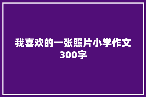 我喜欢的一张照片小学作文300字