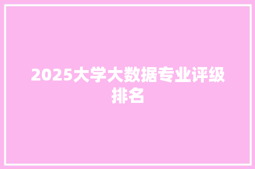 2025大学大数据专业评级排名
