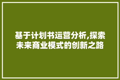 基于计划书运营分析,探索未来商业模式的创新之路