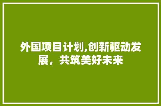 外国项目计划,创新驱动发展，共筑美好未来