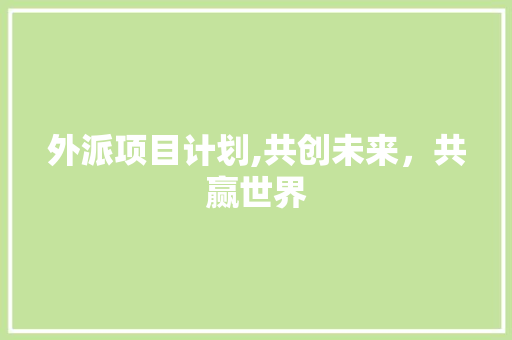 外派项目计划,共创未来，共赢世界