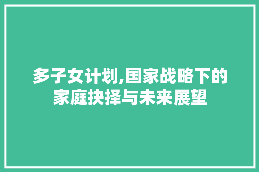 多子女计划,国家战略下的家庭抉择与未来展望