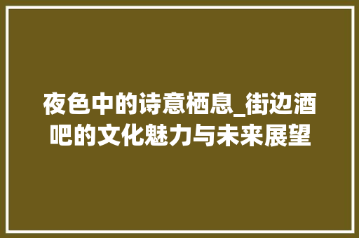 夜色中的诗意栖息_街边酒吧的文化魅力与未来展望