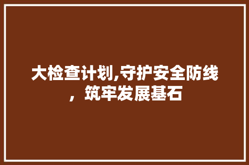 大检查计划,守护安全防线，筑牢发展基石