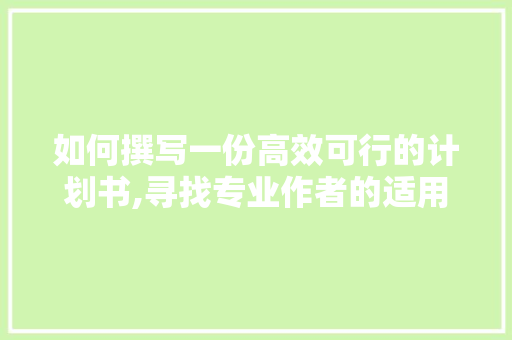 如何撰写一份高效可行的计划书,寻找专业作者的适用指南