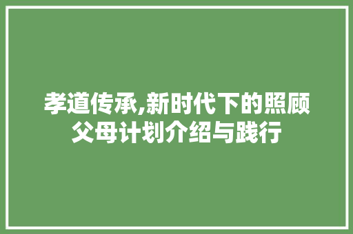 孝道传承,新时代下的照顾父母计划介绍与践行