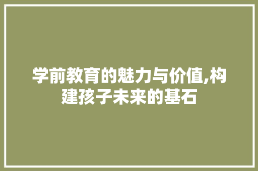 学前教育的魅力与价值,构建孩子未来的基石