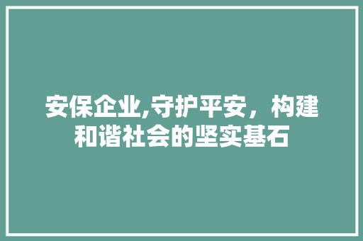 安保企业,守护平安，构建和谐社会的坚实基石