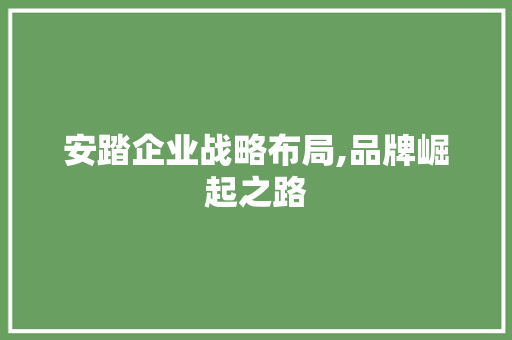 安踏企业战略布局,品牌崛起之路