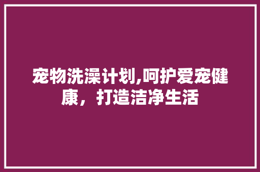 宠物洗澡计划,呵护爱宠健康，打造洁净生活