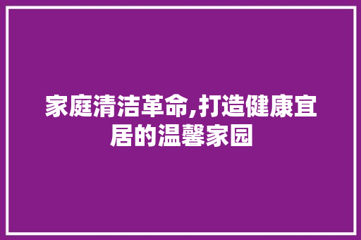 家庭清洁革命,打造健康宜居的温馨家园