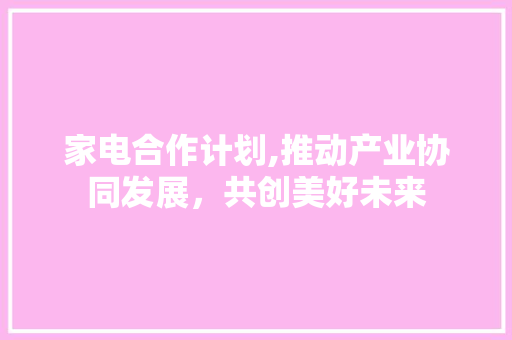 家电合作计划,推动产业协同发展，共创美好未来