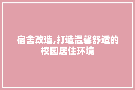 宿舍改造,打造温馨舒适的校园居住环境