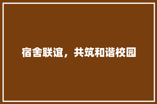 宿舍联谊，共筑和谐校园