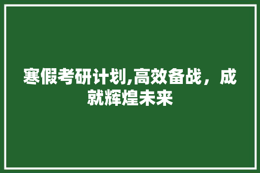 寒假考研计划,高效备战，成就辉煌未来