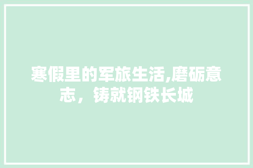 寒假里的军旅生活,磨砺意志，铸就钢铁长城