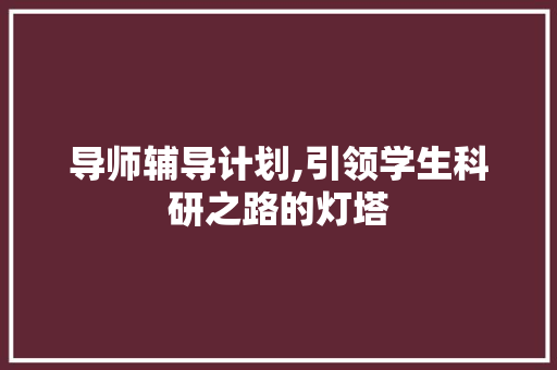 导师辅导计划,引领学生科研之路的灯塔