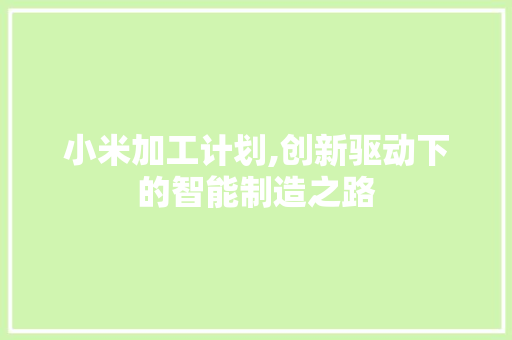 小米加工计划,创新驱动下的智能制造之路