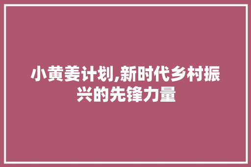 小黄姜计划,新时代乡村振兴的先锋力量