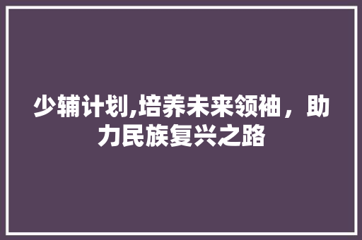 少辅计划,培养未来领袖，助力民族复兴之路