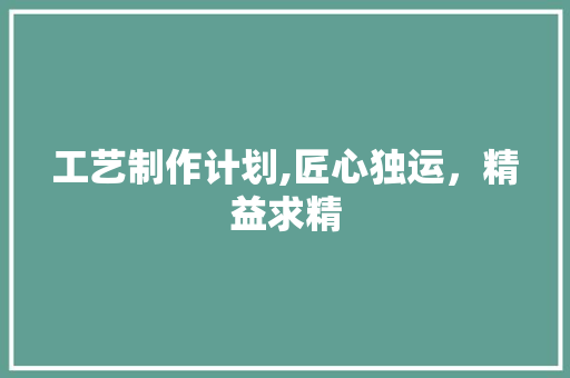 工艺制作计划,匠心独运，精益求精