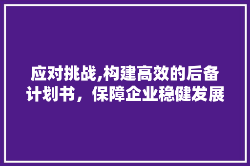应对挑战,构建高效的后备计划书，保障企业稳健发展