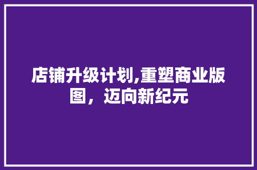 店铺升级计划,重塑商业版图，迈向新纪元