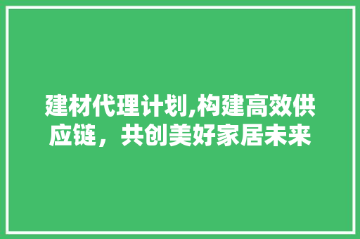 建材代理计划,构建高效供应链，共创美好家居未来
