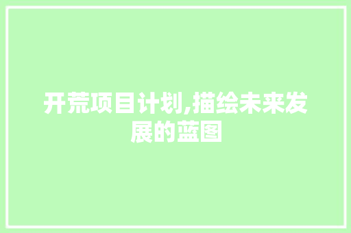 开荒项目计划,描绘未来发展的蓝图