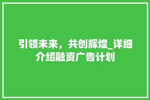 引领未来，共创辉煌_详细介绍融资广告计划