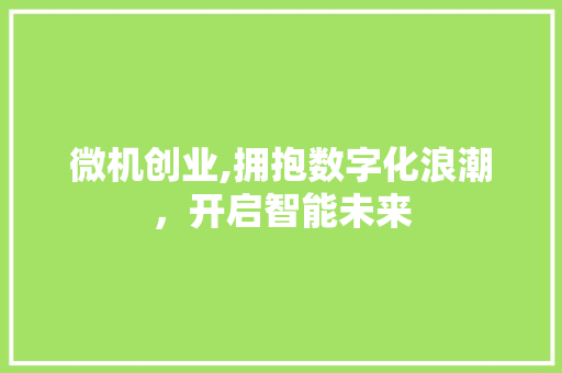 微机创业,拥抱数字化浪潮，开启智能未来