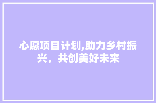 心愿项目计划,助力乡村振兴，共创美好未来
