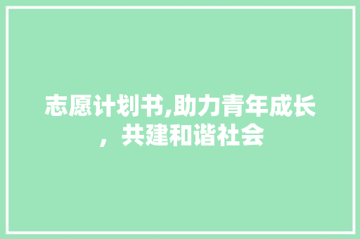 志愿计划书,助力青年成长，共建和谐社会
