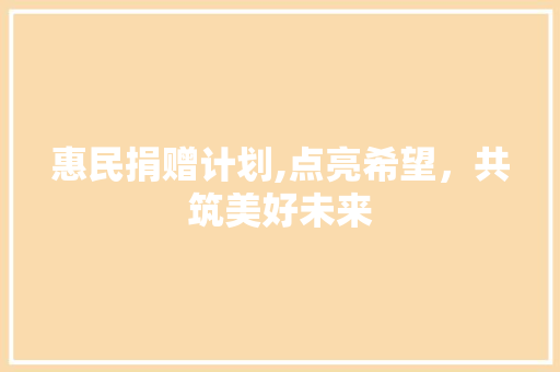 惠民捐赠计划,点亮希望，共筑美好未来