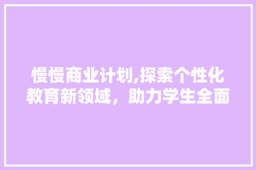 慢慢商业计划,探索个性化教育新领域，助力学生全面发展