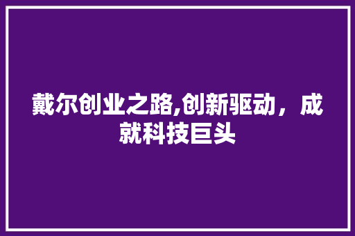戴尔创业之路,创新驱动，成就科技巨头
