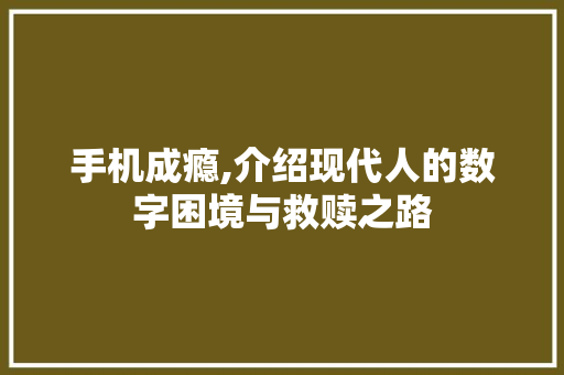 手机成瘾,介绍现代人的数字困境与救赎之路