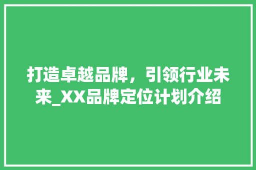 打造卓越品牌，引领行业未来_XX品牌定位计划介绍