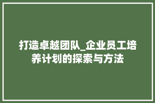 打造卓越团队_企业员工培养计划的探索与方法