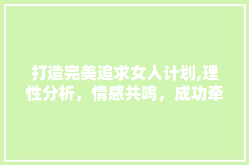 打造完美追求女人计划,理性分析，情感共鸣，成功牵手